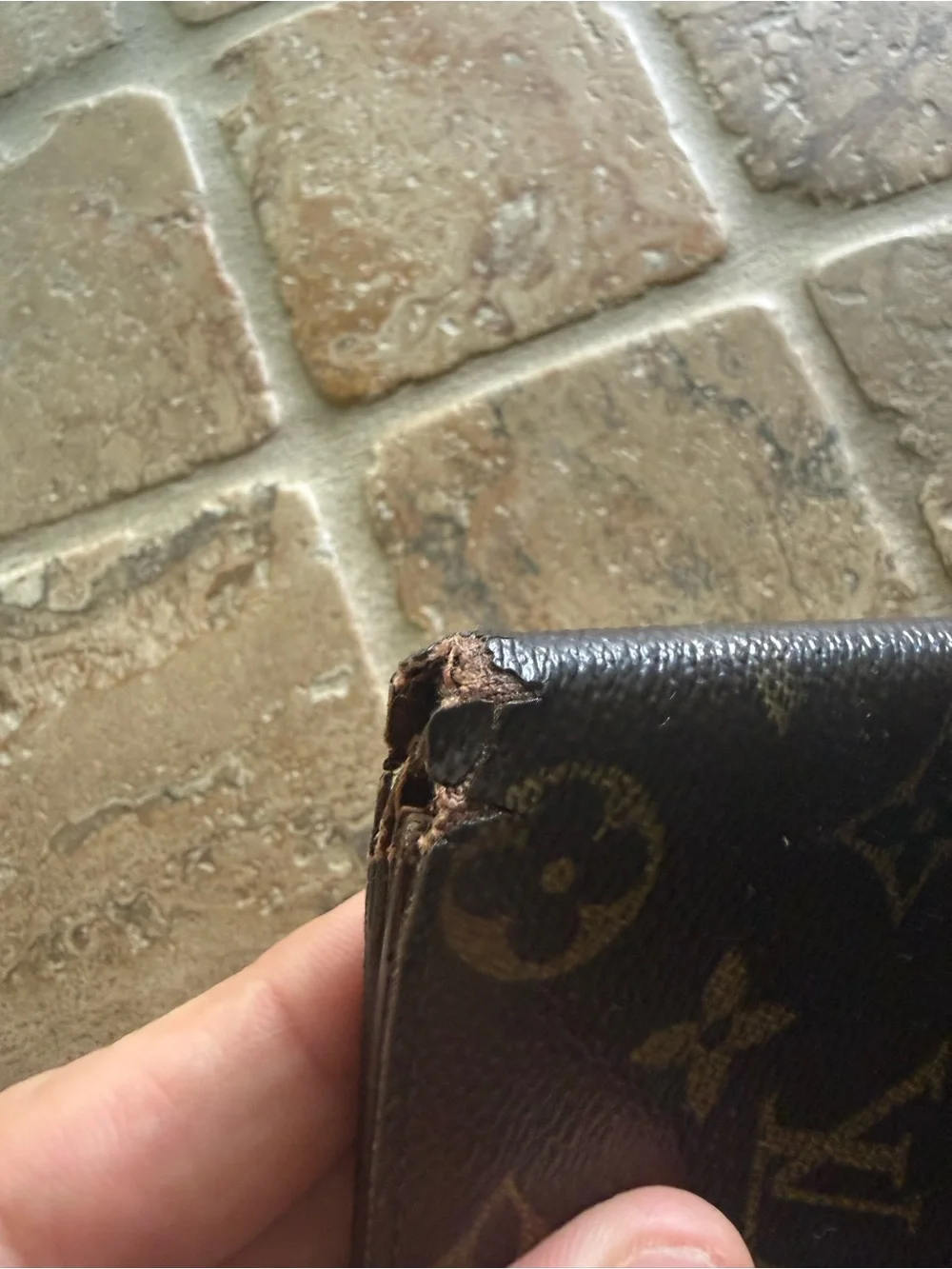 Louis Vuitton Monogram Canvas Wallet - Dark Brown & Gold Monogram